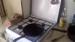 17571938041720.mp4