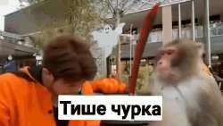 1725697762888.gif