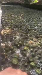 1756998063507497.mp4