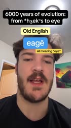 1663451049441.mp4