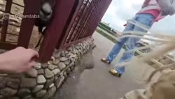 video2025-09-0818-04-05.mp4