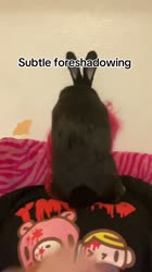 17569010348490.mp4