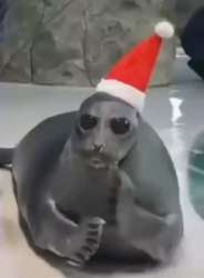 1757281335574.jpg