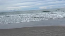 maddysonutonul.mp4
