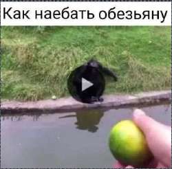 16797438444710.mp4