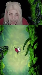 2.mp4