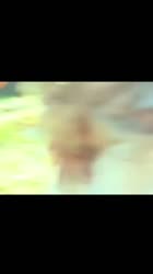 17567978102683.mp4