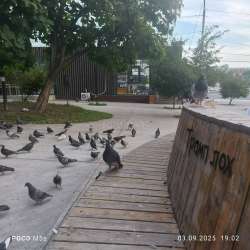 IMG20250905182944654.jpg