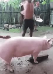 1757429334758.mp4