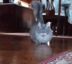 gifkidolboeba3.gif