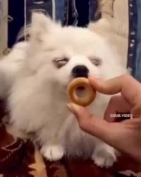 1757420166147.mp4