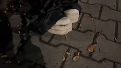 20250716AssiduousNeighborlyCheesecakeCclamChamp-E49KHL2uHy6dvUqgsource.mp4