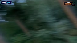 17567314130600.mp4
