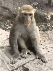 015482165869326.gif