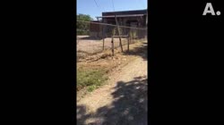 504.mp4