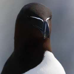 1757508072456.jpg