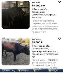 1757509212175.jpg