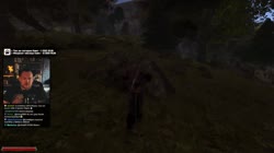 17574139664140.mp4