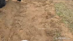 помянем.mp4
