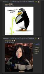 17892243239780749709.png
