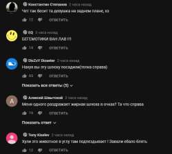598x538