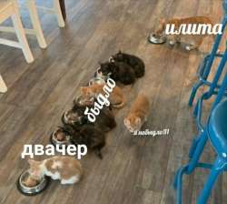 15766741613850.png