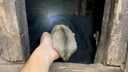 27.mp4