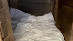 27.mp4