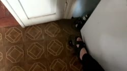 10.mp4