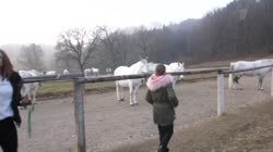 132562143245645685.webm