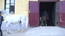 1345674357684724.webm
