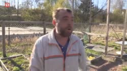 15740110416361.mp4