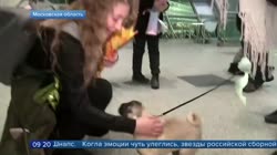 15802012492480.mp4