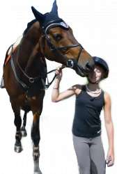 Alyonka horse.png