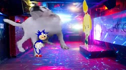 4.mp4