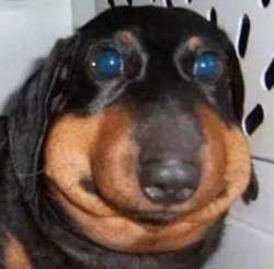 15840993976050.jpg