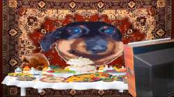 IMG6828TRIM.gif