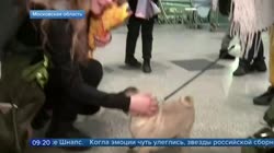 15802012492480.mp4