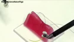 14998001362130.webm