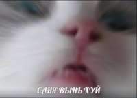 264x191