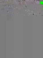 503x672