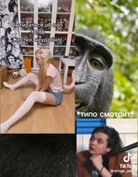 576x736