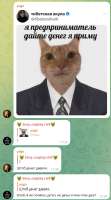 442x791
