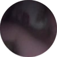 doc2025-05-0122-07-28.mp4