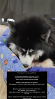 c3RwPWRzdC1tcDQmZWZnPWV5SnhaVjluY205MWNITWlPaUpiWENKcFoxOTNaV0pmWkdWc2FYWmxjbmxmZG5SelgyOTBabHdpWFNJc0luWm...gwNzcmY2NiPTktNCZvaD0wMF9BZkxmWjE4a3BqQVg0MWRwQXk0amlXcTQ0cEpLZm51MkpxU3V6V3JnTHNkTlZBJm9lPTY4MjgwQTgwJl9uY19zaWQ9ZDhkMDJi.mp4