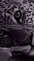c3RwPWRzdC1tcDQmZWZnPWV5SnhaVjluY205MWNITWlPaUpiWENKcFoxOTNaV0pmWkdWc2FYWmxjbmxmZG5SelgyOTBabHdpWFNJc0luWm...M0MyZjY2I9OS00Jm9oPTAwX0FmS3VRdHpxVFZyeDZYUjlvZHZiY3FhTWp3OTBJQUREMUoySks5d0RzYmoyTkEmb2U9NjgzNjU1QzYmX25jX3NpZD1kOGQwMmI=.mp4
