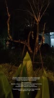 c3RwPWRzdC1tcDQmZWZnPWV5SnhaVjluY205MWNITWlPaUpiWENKcFoxOTNaV0pmWkdWc2FYWmxjbmxmZG5SelgyOTBabHdpWFNJc0luWm...gxZSZjY2I9OS00Jm9oPTAwX0FmTjhLN1lKTnRVVnd5ZGlETGhNOVZ4LW50dlVfa1hobk5FVG13NDdZckdNR1Emb2U9Njg0NjgzNzEmX25jX3NpZD1kOGQwMmI=.mp4