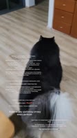 c3RwPWRzdC1tcDQmZWZnPWV5SnhaVjluY205MWNITWlPaUpiWENKcFoxOTNaV0pmWkdWc2FYWmxjbmxmZG5SelgyOTBabHdpWFNJc0luWm...I4YTkmY2NiPTktNCZvaD0wMF9BZlBFVmtFczgyUW04N2xaZXY3aElDcy1SbXRkdWI0cVoyOTc0NkxEODdOSFlnJm9lPTY4NEE1RERFJl9uY19zaWQ9ZDhkMDJi.mp4