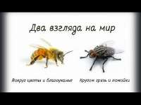 dfabe9609df1ae6dfd9fa1f6d95e29ff.jpg