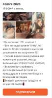 изображение2025-06-24184259026.png